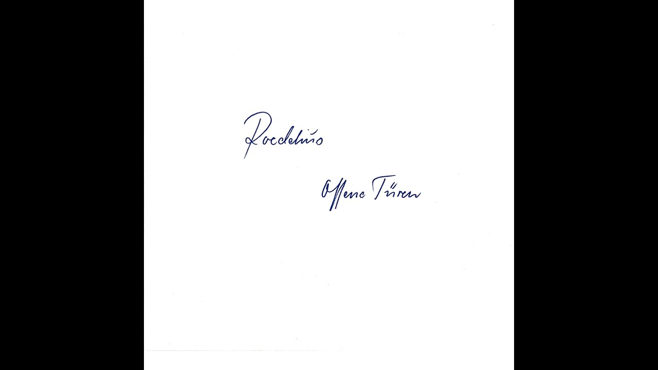 Roedelius - Mit offenem Visier