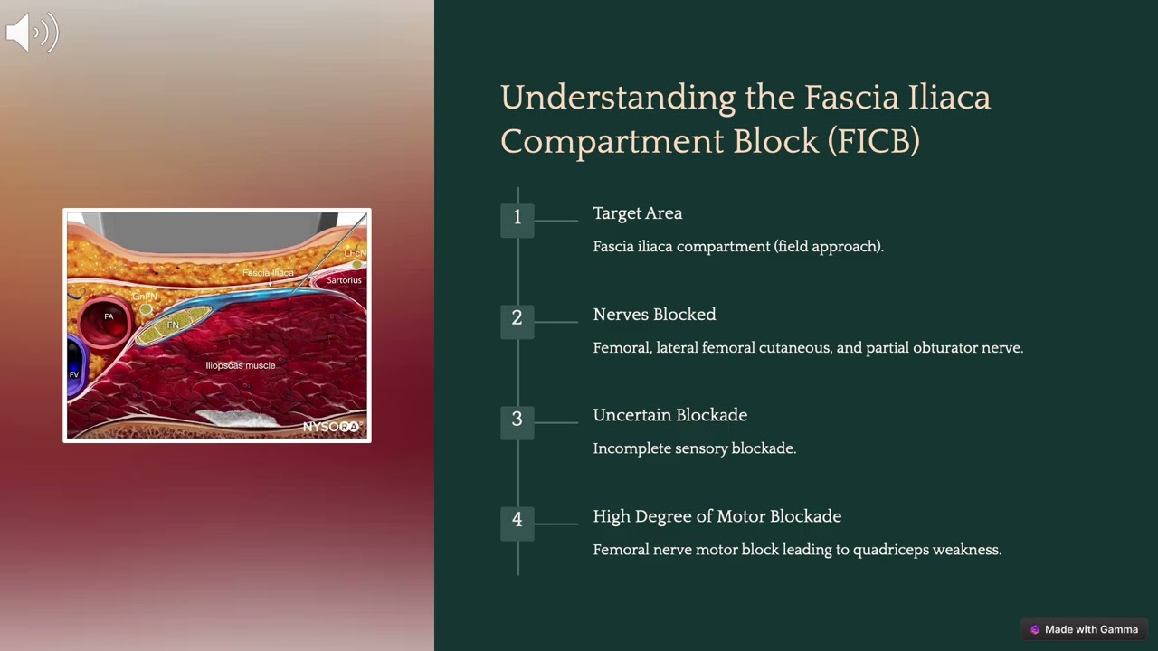 Educational Module: PENG Block VS FICB