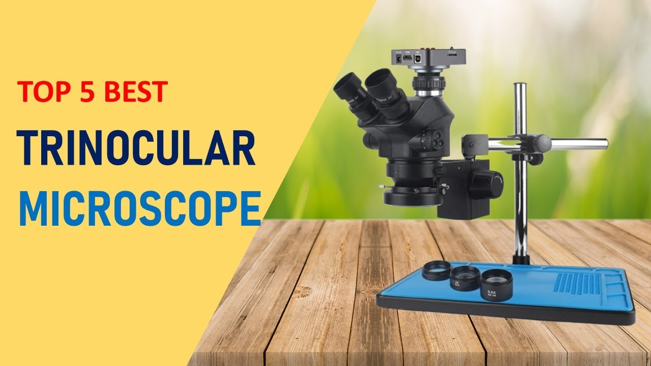 Top 5 Best Trinocular Microscope in 2025 | Trinocular Stereo Microscope on Aliexpress