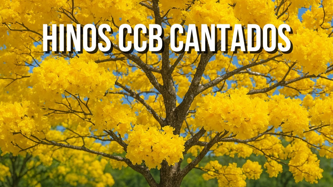 Hinos CCB Cantados Coletânea de Belos Hinos VOL 13