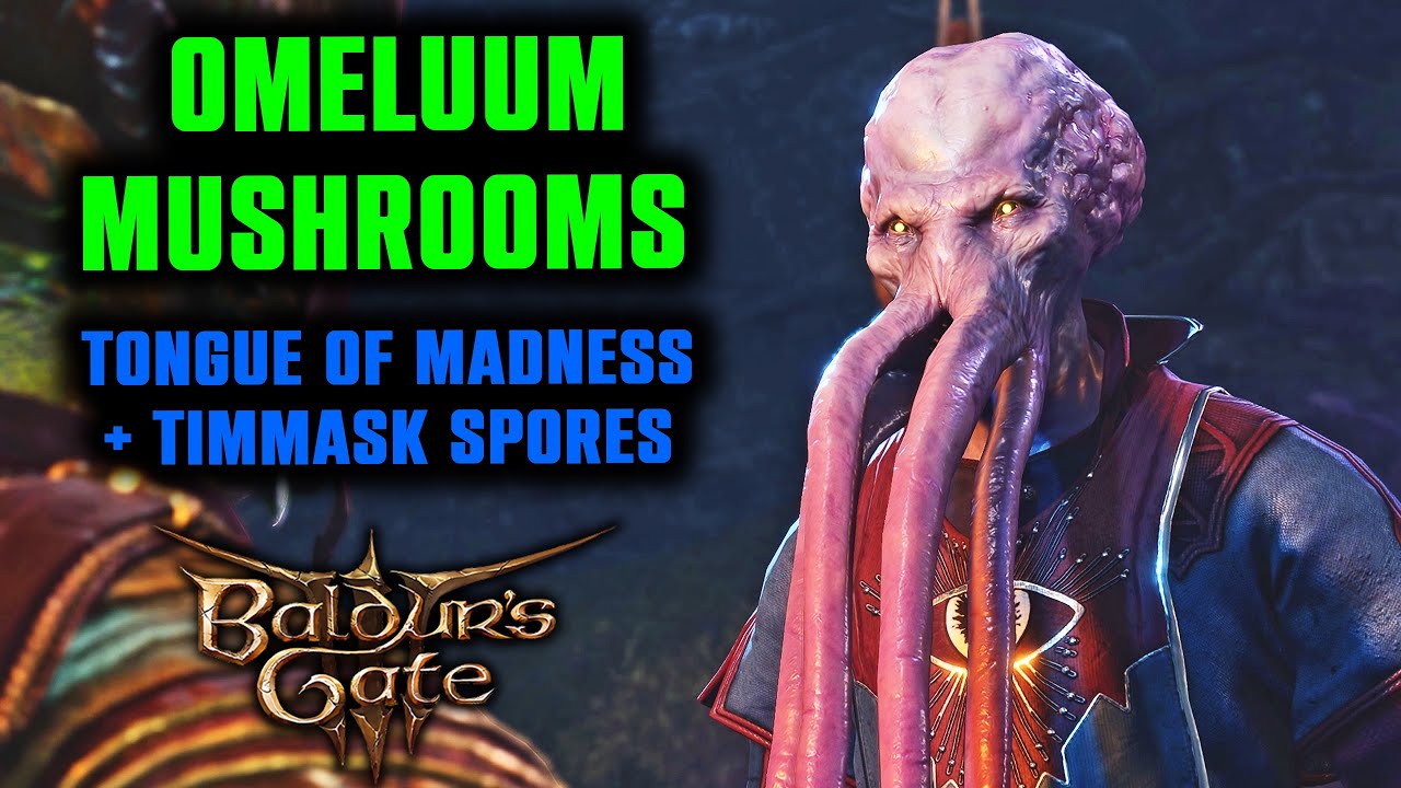 Tongue of Madness & Timmask Spores Location - How to Find Mushrooms for Omeluum Baldur's Gate 3