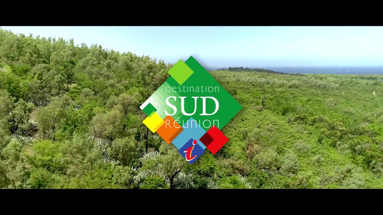 Tr&eacute;sor du Sud : La for&ecirc;t de L&rsquo;&Eacute;tang-Sal&eacute;, la coul&eacute;e verte, &Icirc;le de la R&eacute;union