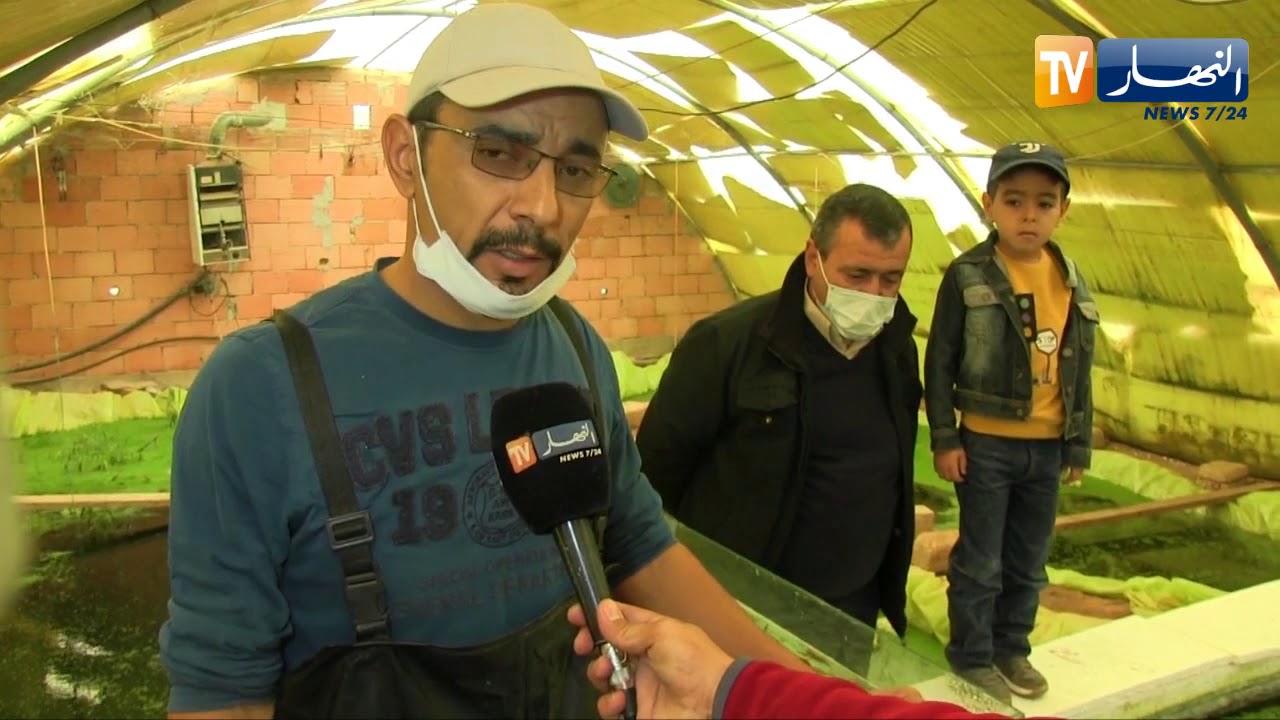 الجلفة : ياسين .. مثال لصاحب مشروع ناجح في تربية أسماك الزينة بإمكانياته الخاصة