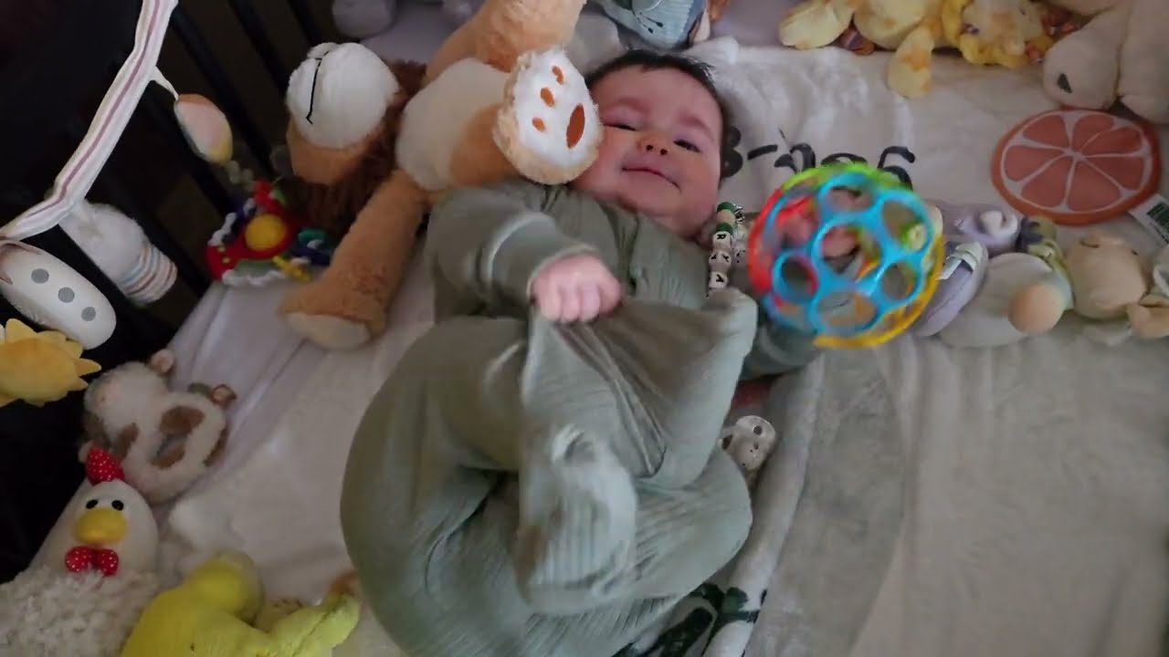 Adorable Baby Moments That Melt Hearts Watch Family