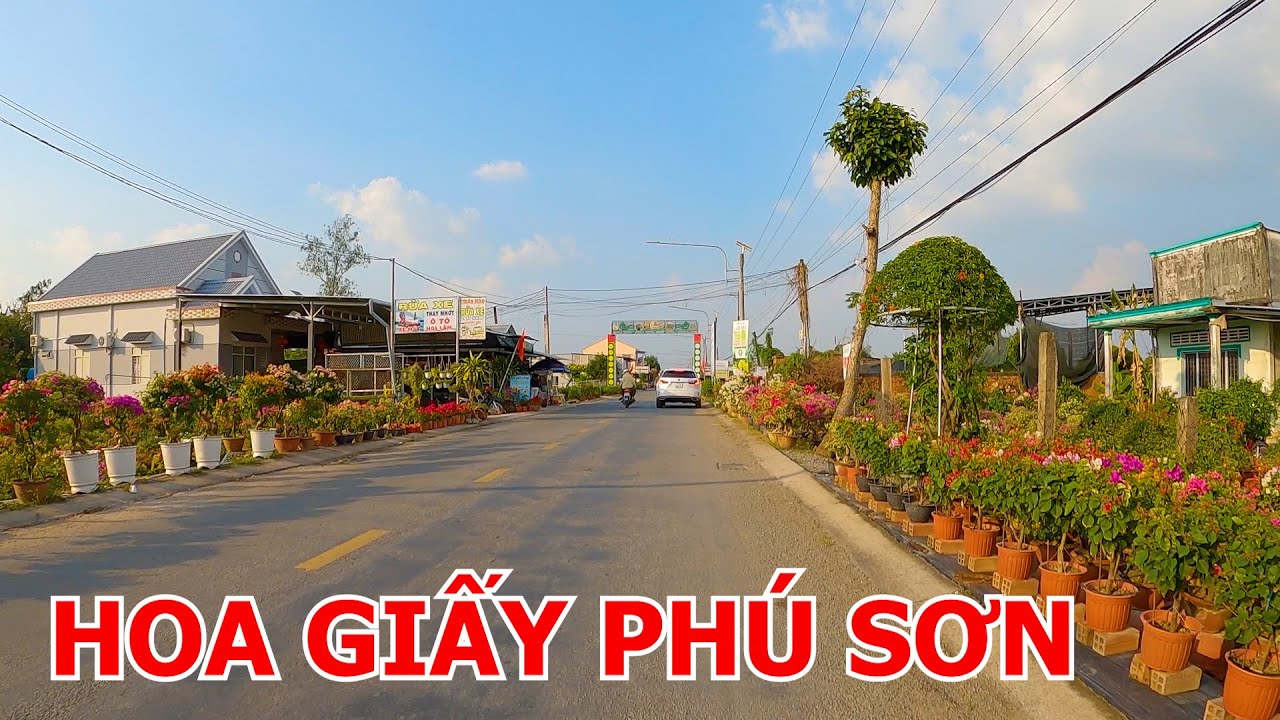 CẦU ĐÔNG KINH - KINH BẢO VÀNG - LÀNG HOA GIẤY PHÚ SƠN - CẦU NĂM TÁNG | CHỢ LÁCH - BẾN TRE 08-01-2025