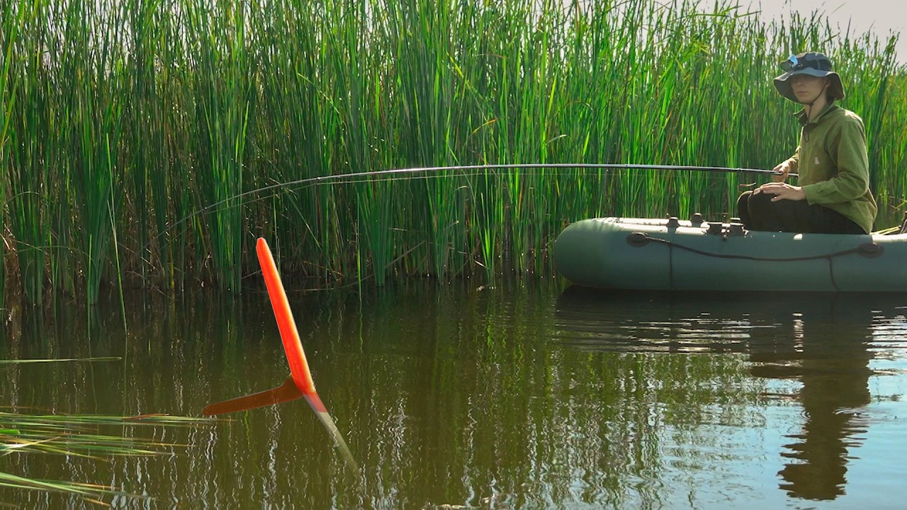 FISHING IN THE WILDS! Crazy Crucian Carp Are Bending My Hooks!