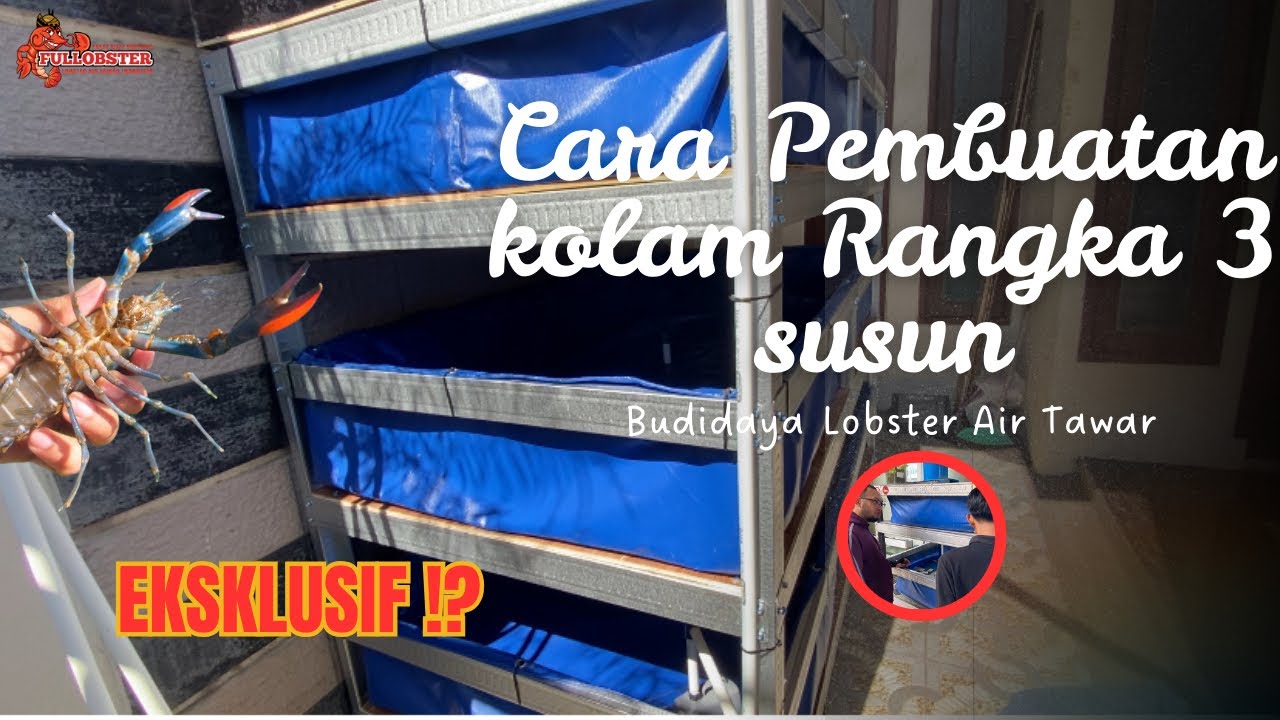TUTORIAL EKSKLUSIF😱 CARA PEMBUATAN KOLAM RANGKA SUSUN 3 | BUDIDAYA LOBSTER AIR TAWAR