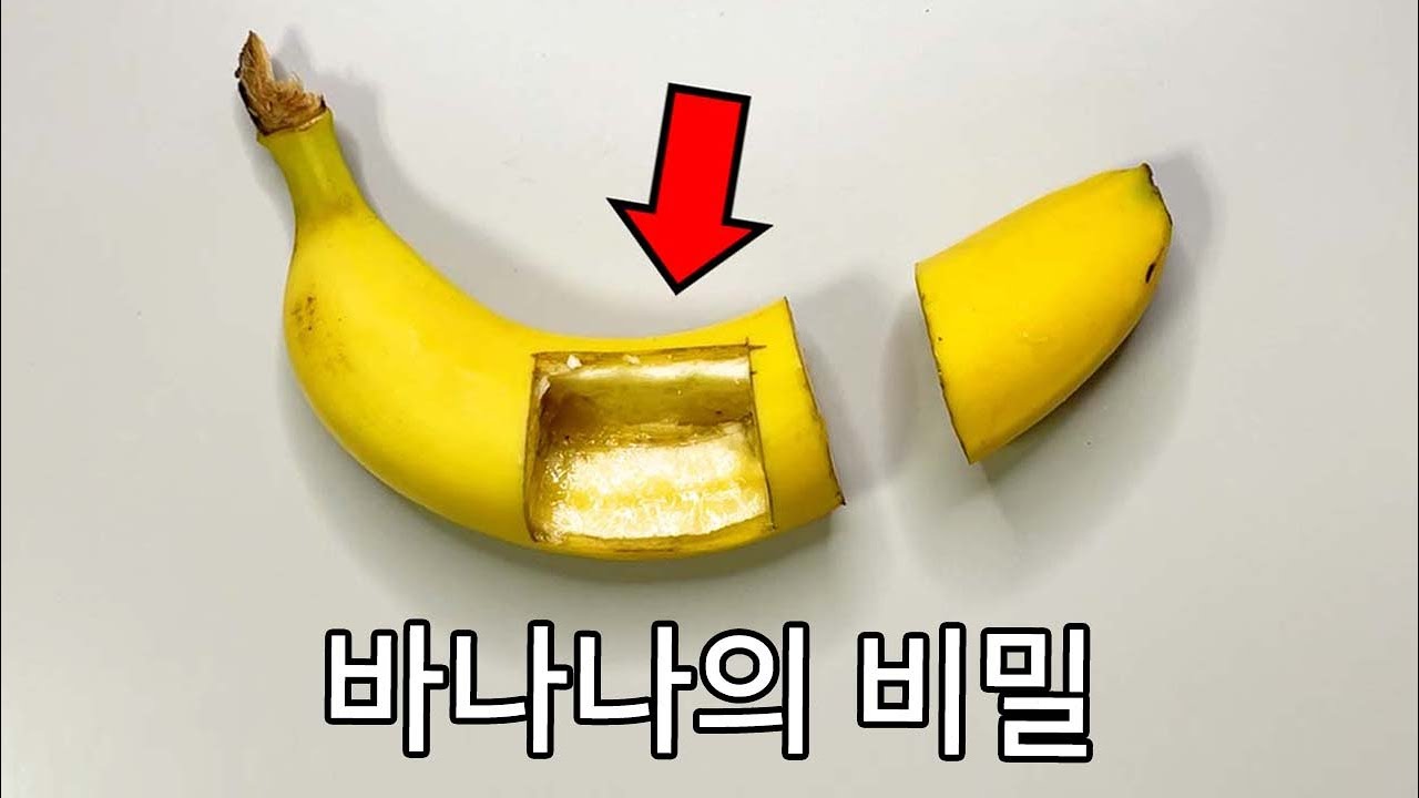당신이 바나나에서 보지 못한 것들 – 바나나 해부