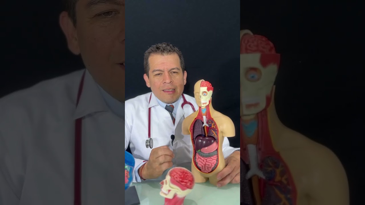 Medicina ORTOMOLECULAR