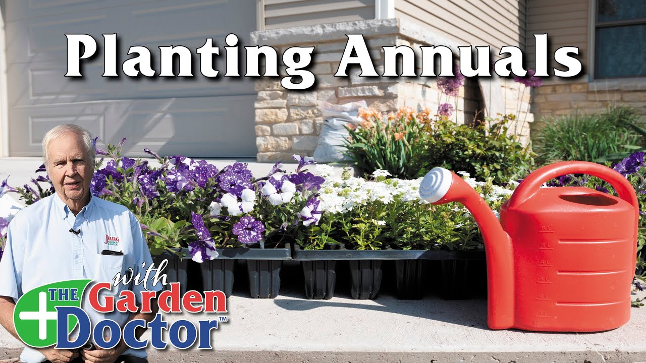 Planting Annuals