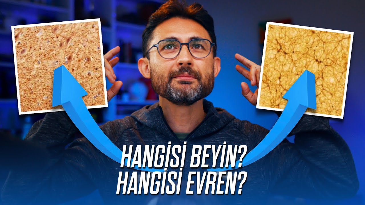 Bu iki g&ouml;rselden birisi insan beyni, diğeri evren! Arada ne fark var?