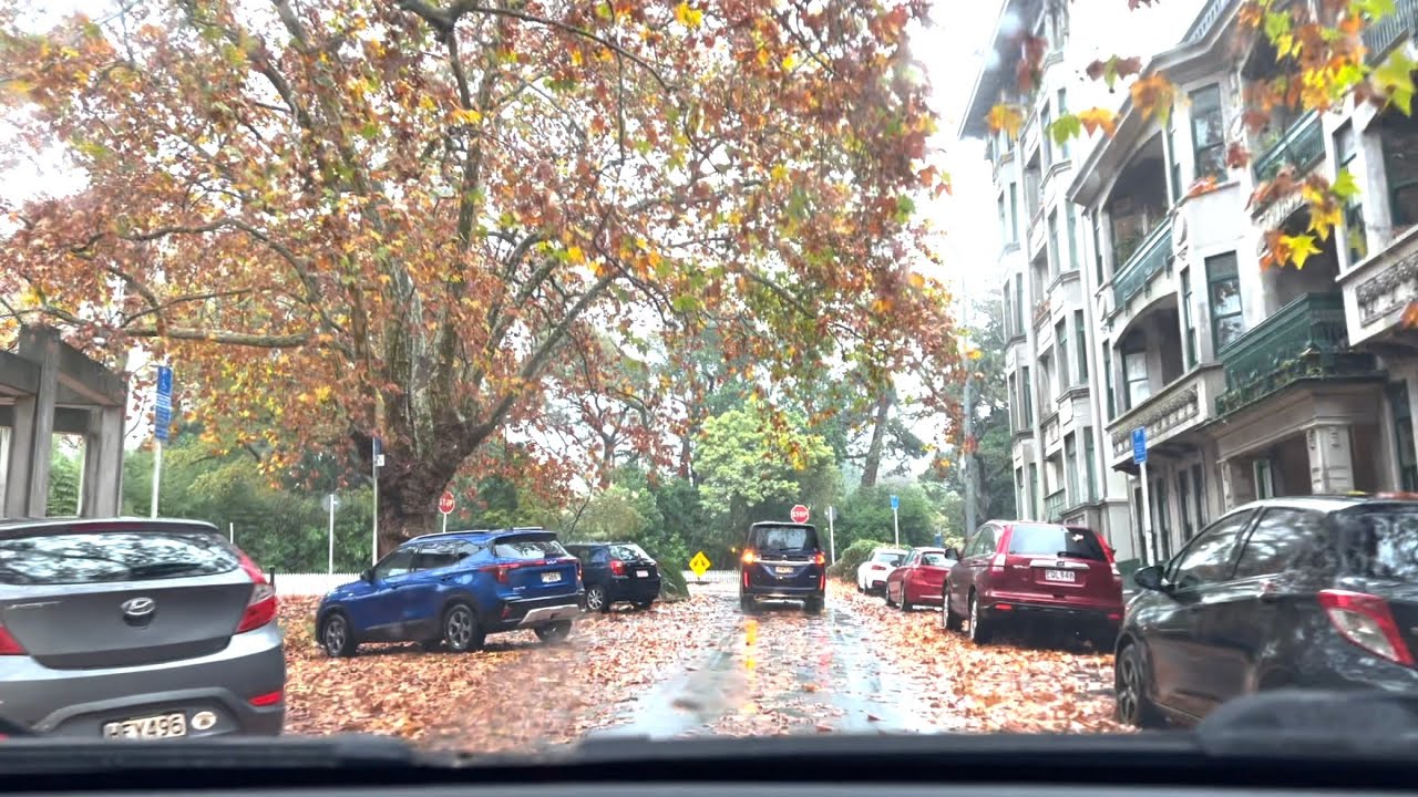 A Morning Drive in Beautiful Central Auckland 