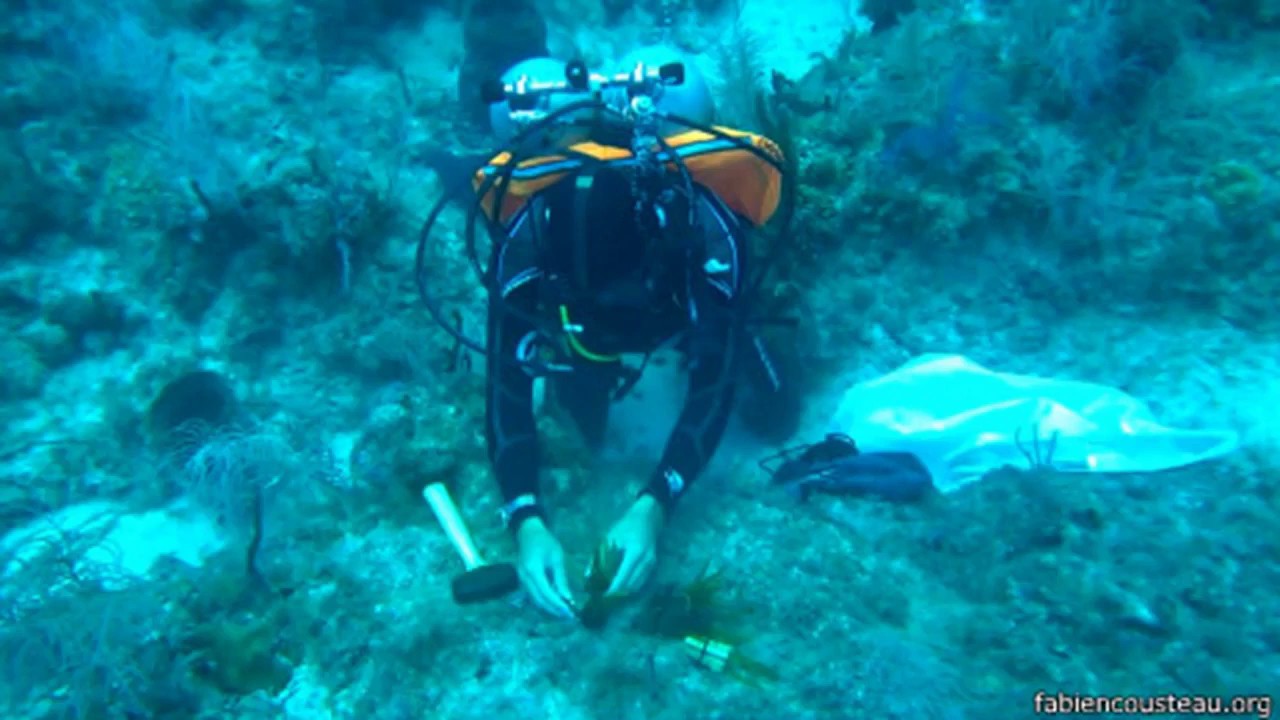 An underwater explorer, listening TRINITY B1, task 1.