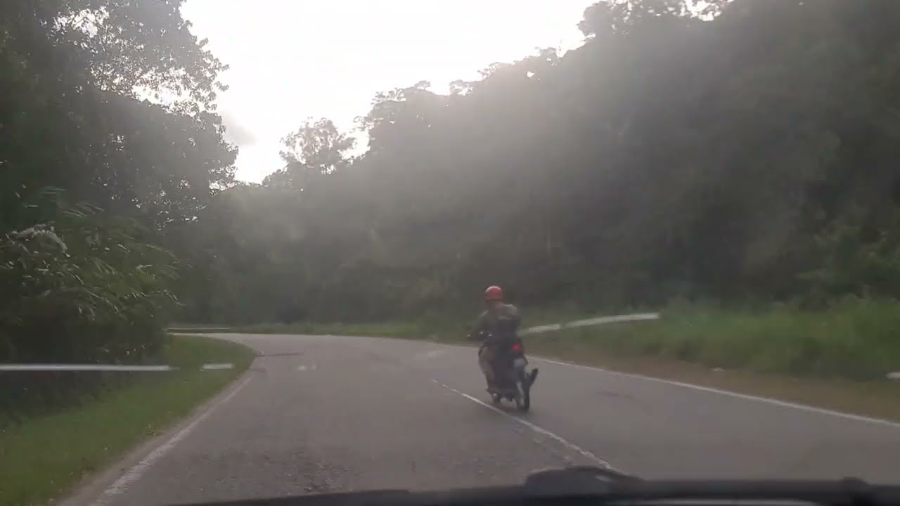 Perkongsian suasana Jalan Gerik (Jeli ke Gerik) Perak. Gajah liar terakam (Minit 7.40)