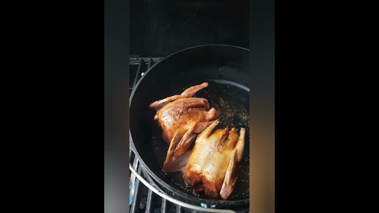 Frische Tauben. #1