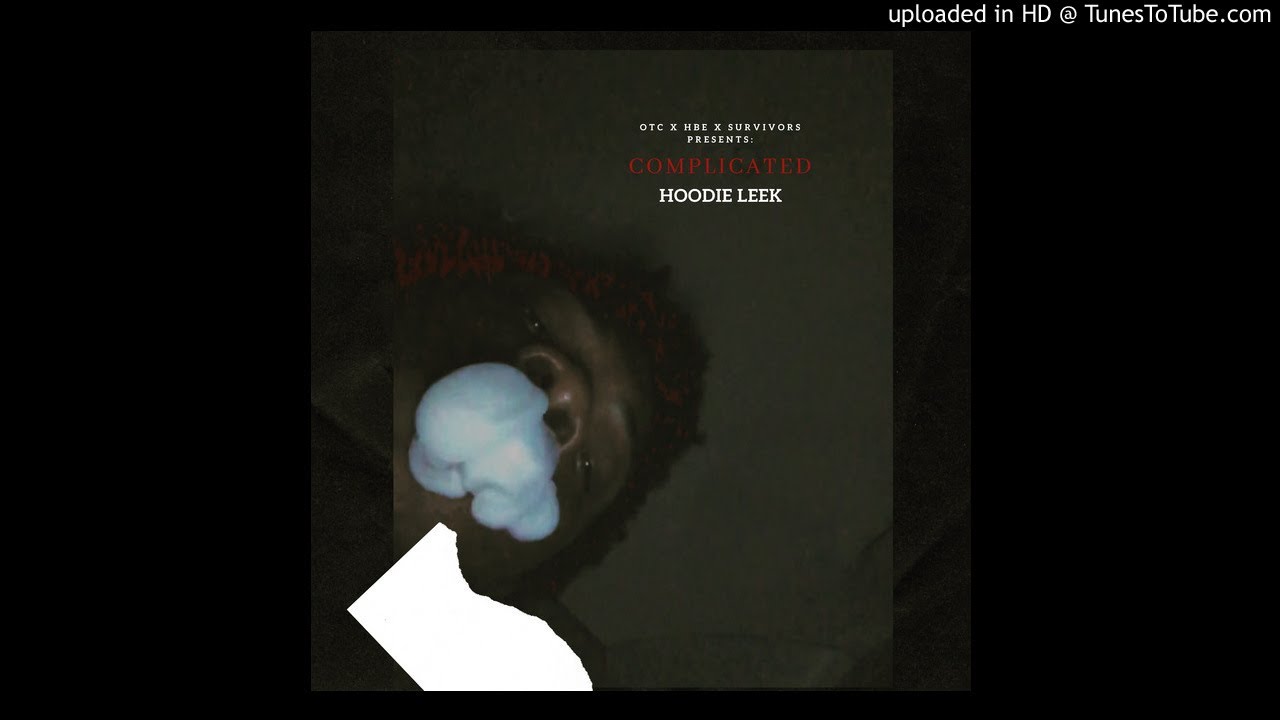 Hoodie Leek - No Auto Leek