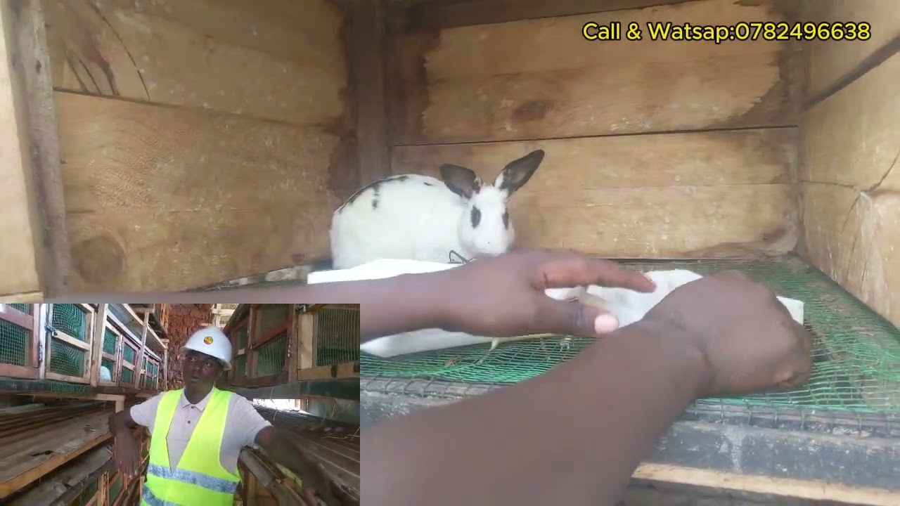 📛VIDEO: DORE IBISUBIZO BYOSE KUBIBAZO  WIBAZAGA K'UBWOROZI BW'INKWAVU ZA KIJYAMBERE