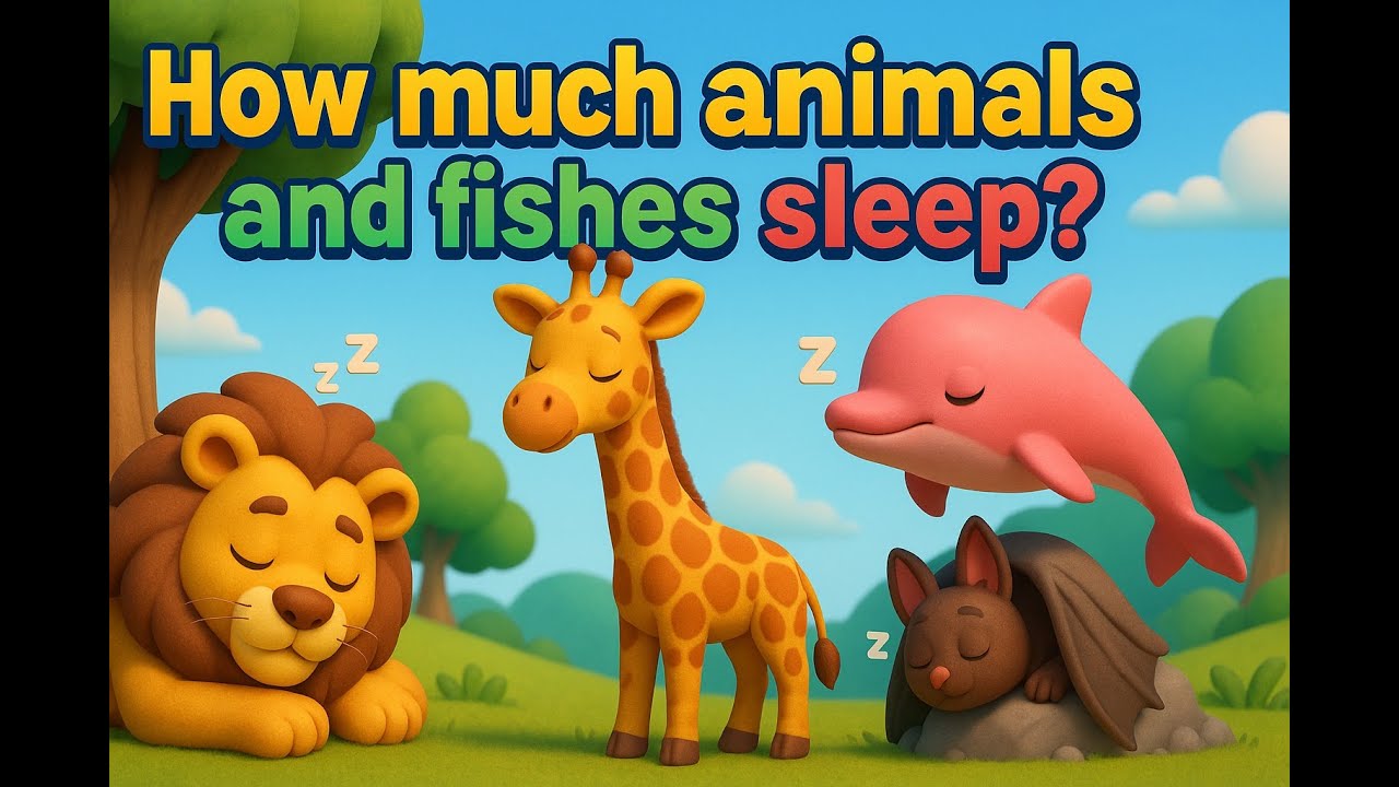 How Long Do Animals And Fishes Sleep ?
