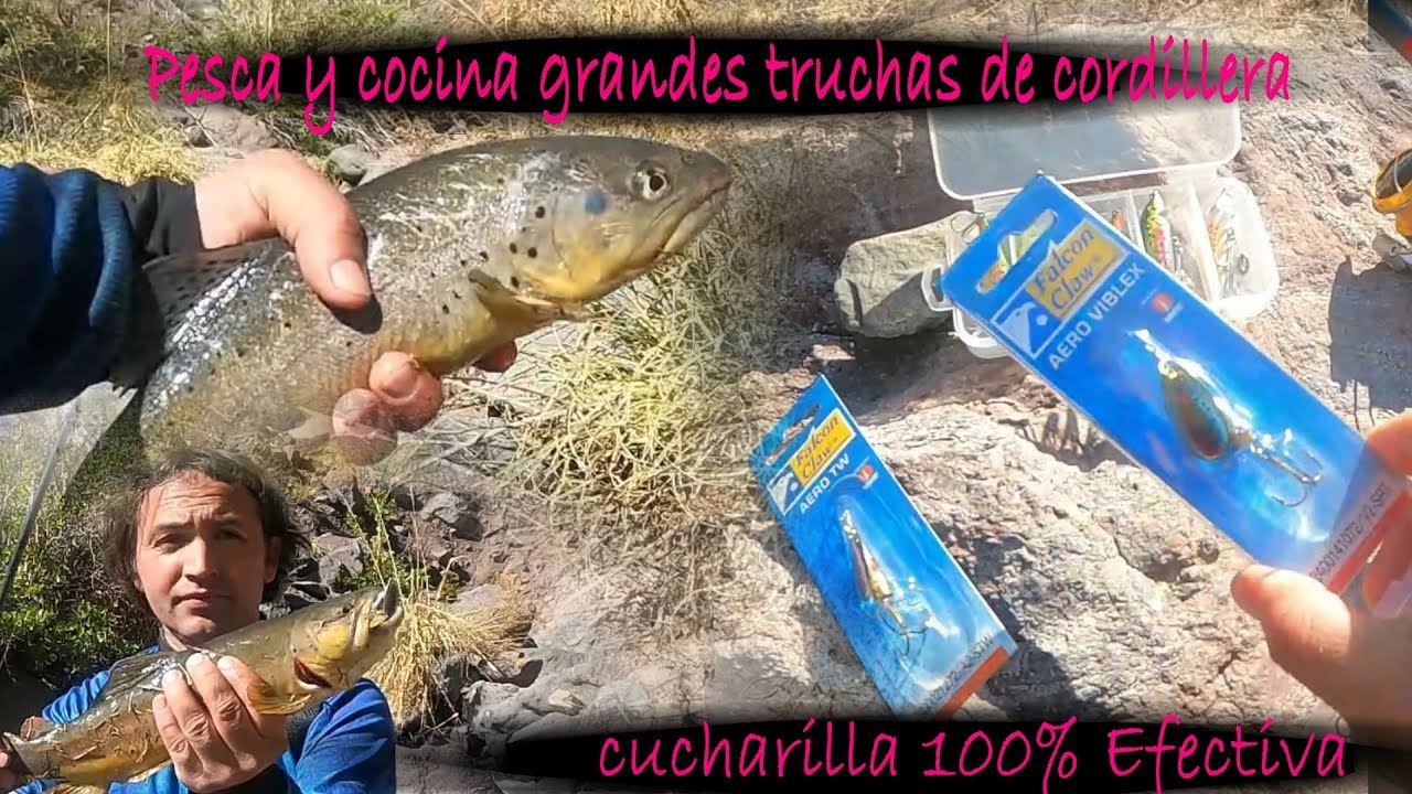 PESCA Y COCINA DE GRANDES TRUCHAS EN CORDILLERA TEM 2022-2023 CUCHARILLA 100% EFECTIVA