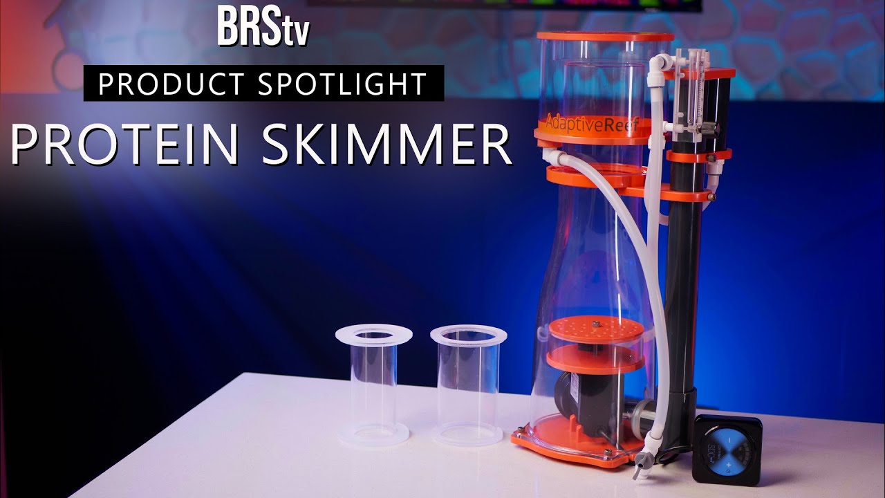 ADJUSTABLE Filtration That Adapts to Your Reef Tank’s Needs! Adaptive Reef Protein Skimmers