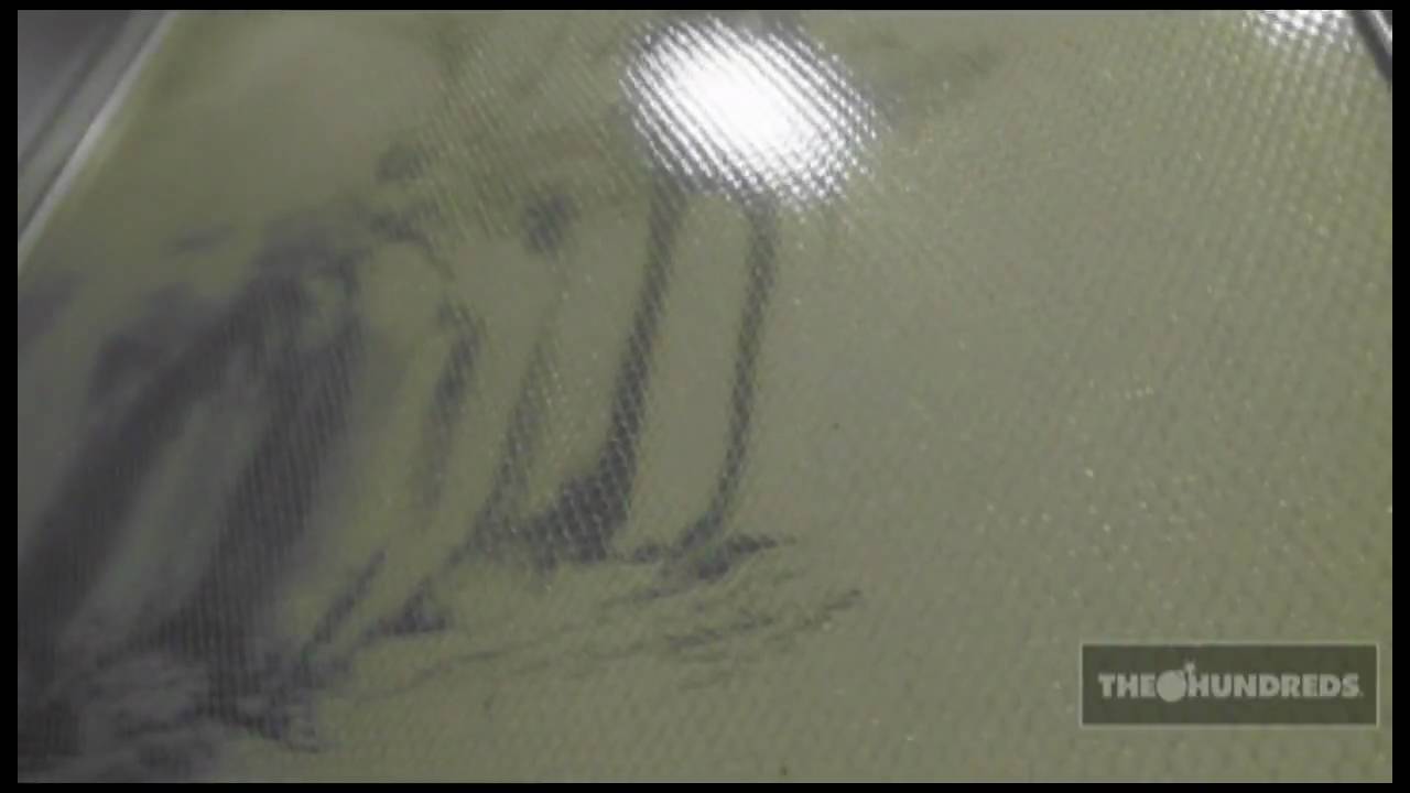 THE HUNDREDS : SIGMAR POLKE