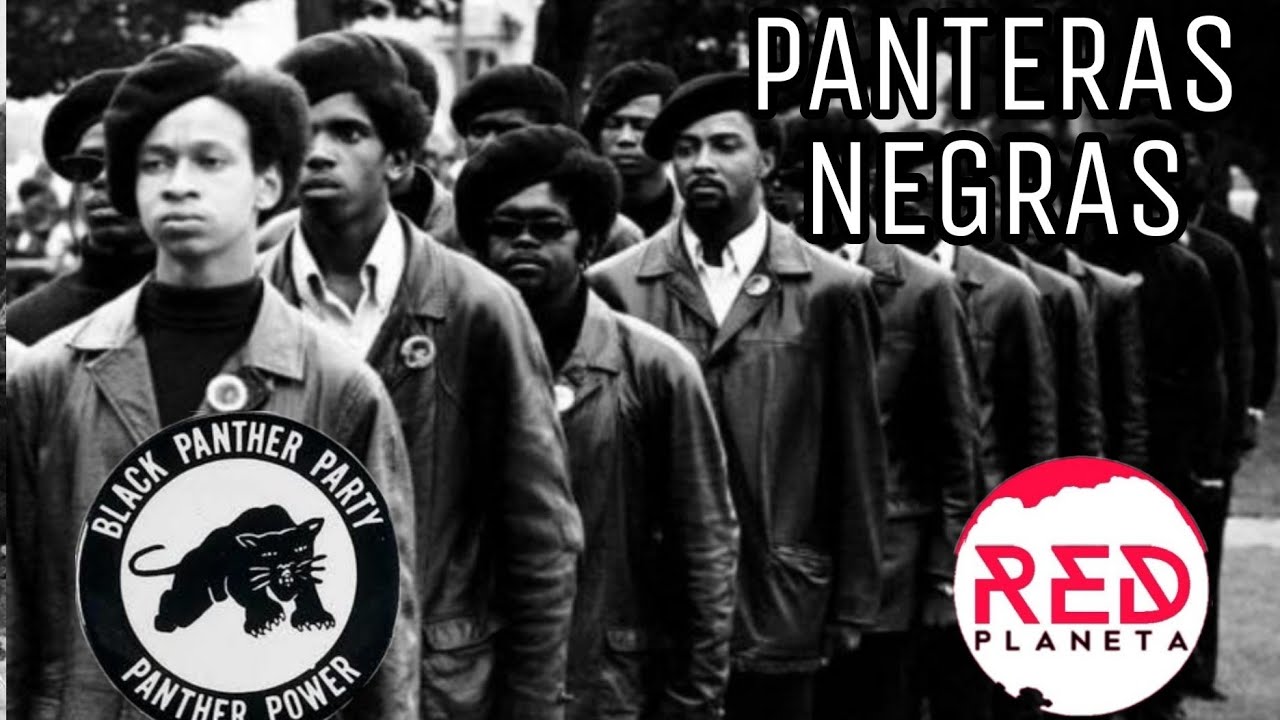 Panteras Negras The Black Panthers Party