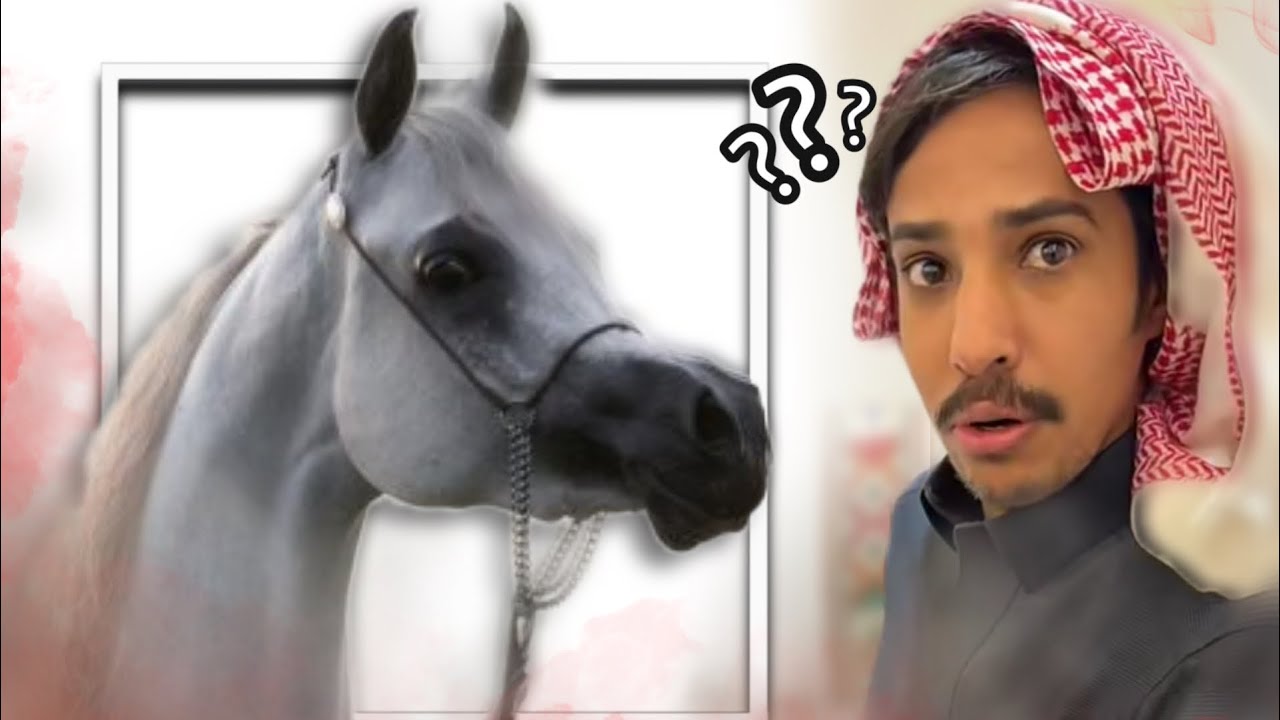52 مليون 🤣😂🙋🏻‍♂️سنابات ابوحصه و ابوعجيب