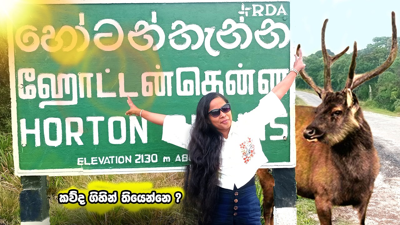 Horton Plains National Park | NUWARA ELIYA | ජීවිතයෙ පළමු පාරට ගෝනෙක් දැක්කා #srilanka #vlog 23