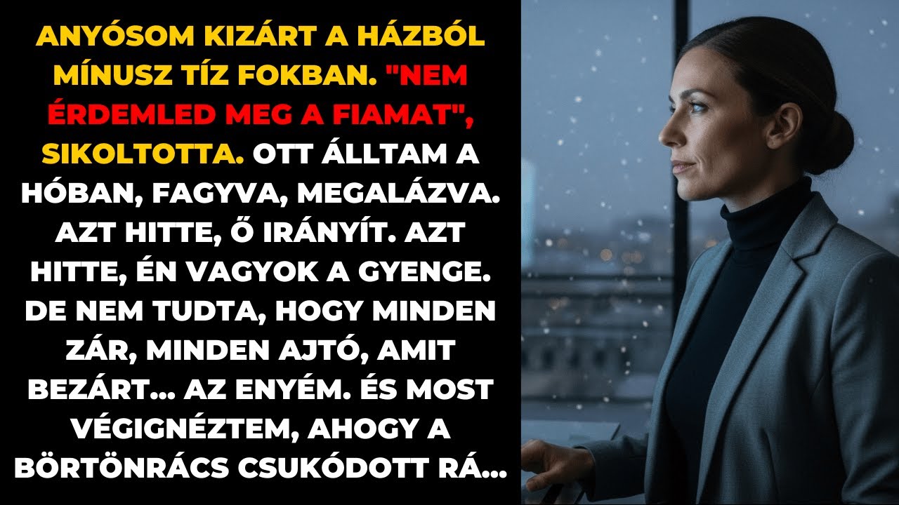 Anyósom kizárt a házból a hidegben. Nem sejtette, hogy a zárakat gyártó cég az enyém