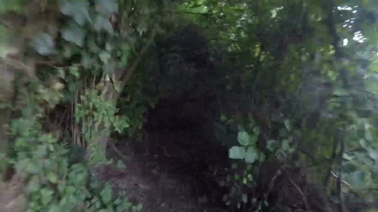 vtt blandain (22e rando vtt du bcj 