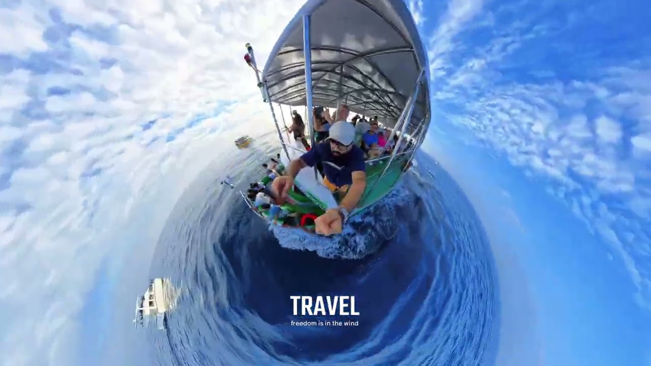 Whale watching, Mirisa - SL