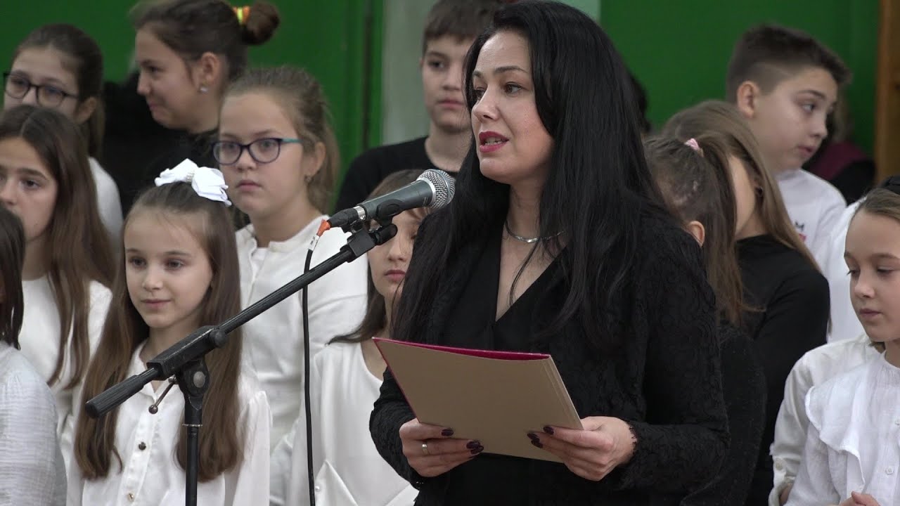 Đaci i nastavnici OŠ „Žarko Zrenjanin” svečano su obeležili Dan škole