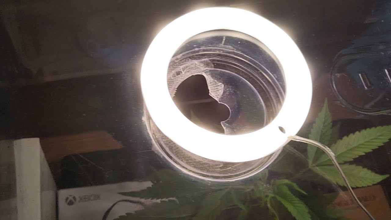 Grow Light Review For Clones #cannabis #hemp #420