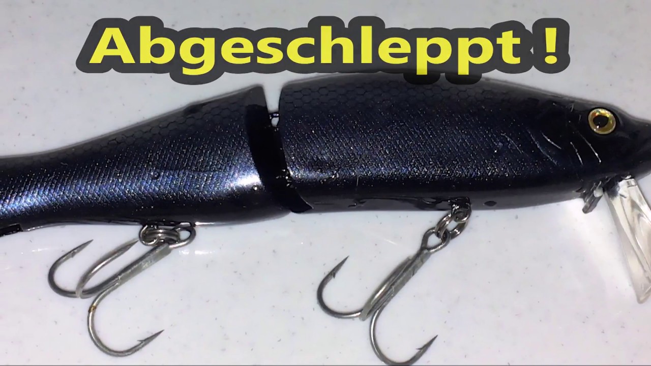 Abgeschleppt: Wels auf Wobbler im Live Drill!