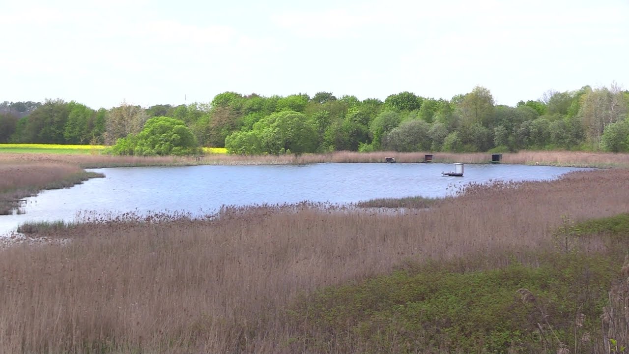Walczą o Żabie Doły 08.05.2023