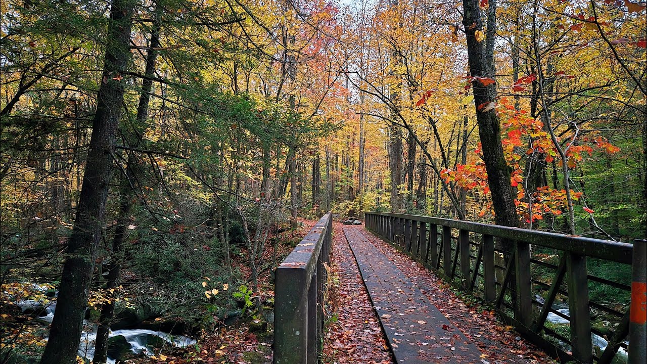 Middle Prong Trail to Marks Cove, Great Smoky Mountains National Park