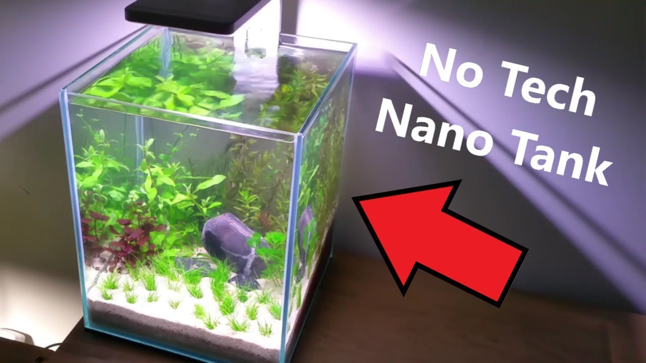 How to: Betta Fish Tank, No tech No Filter No Ferts No co2