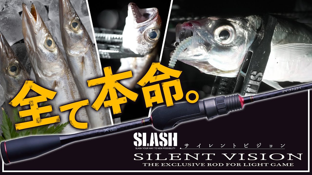 【コスパMAXゲーム】防波堤お手軽マルチライトゲーム釣行!!