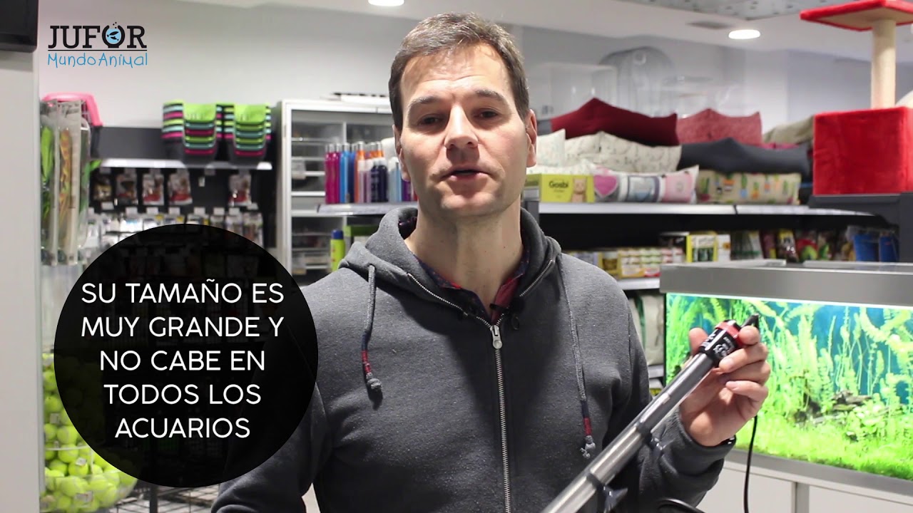 La Temperatura De Tu Acuario Y Tres Calentadores De Cristal y Titanio