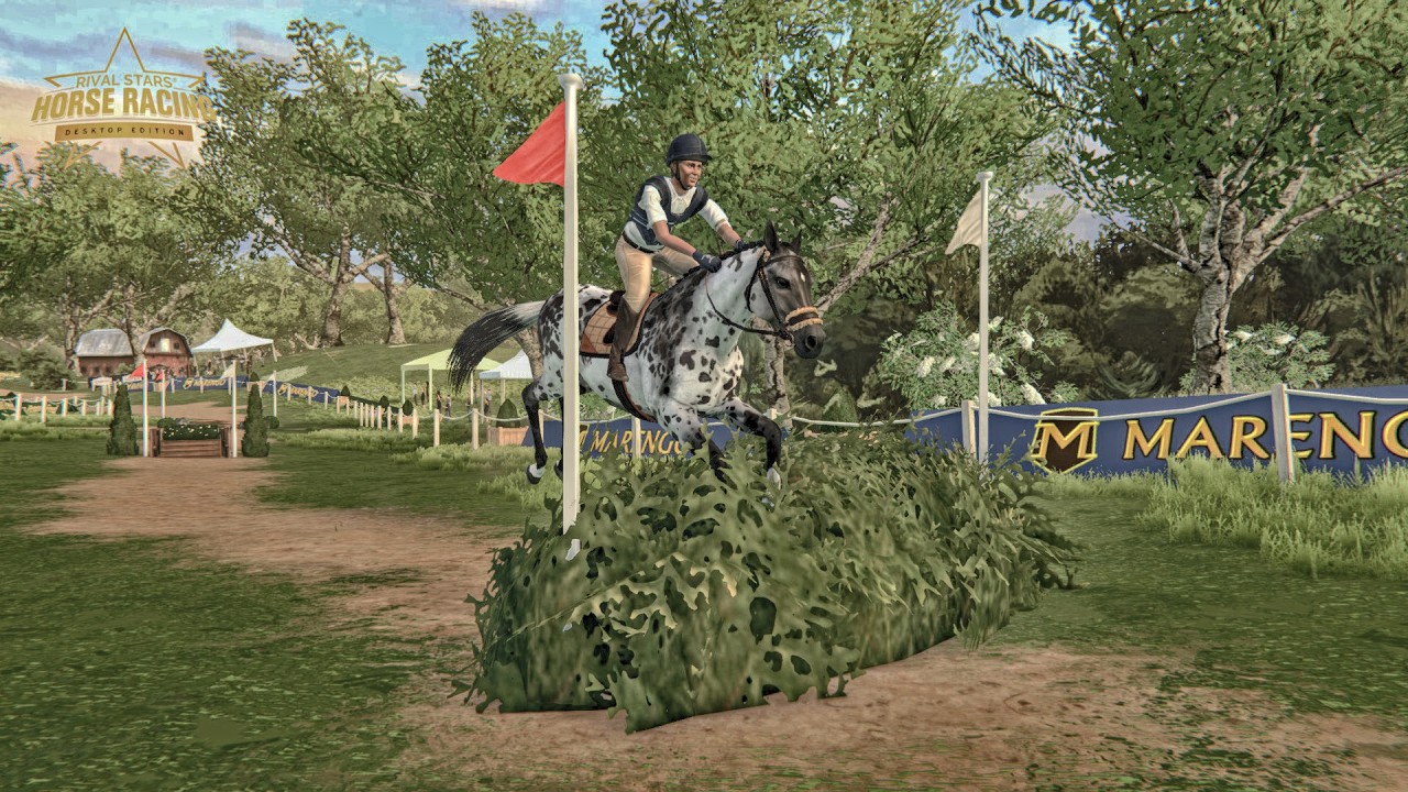 Прошла квалификацию в конкуре на Гран При в Rival Stars Horse Racing))