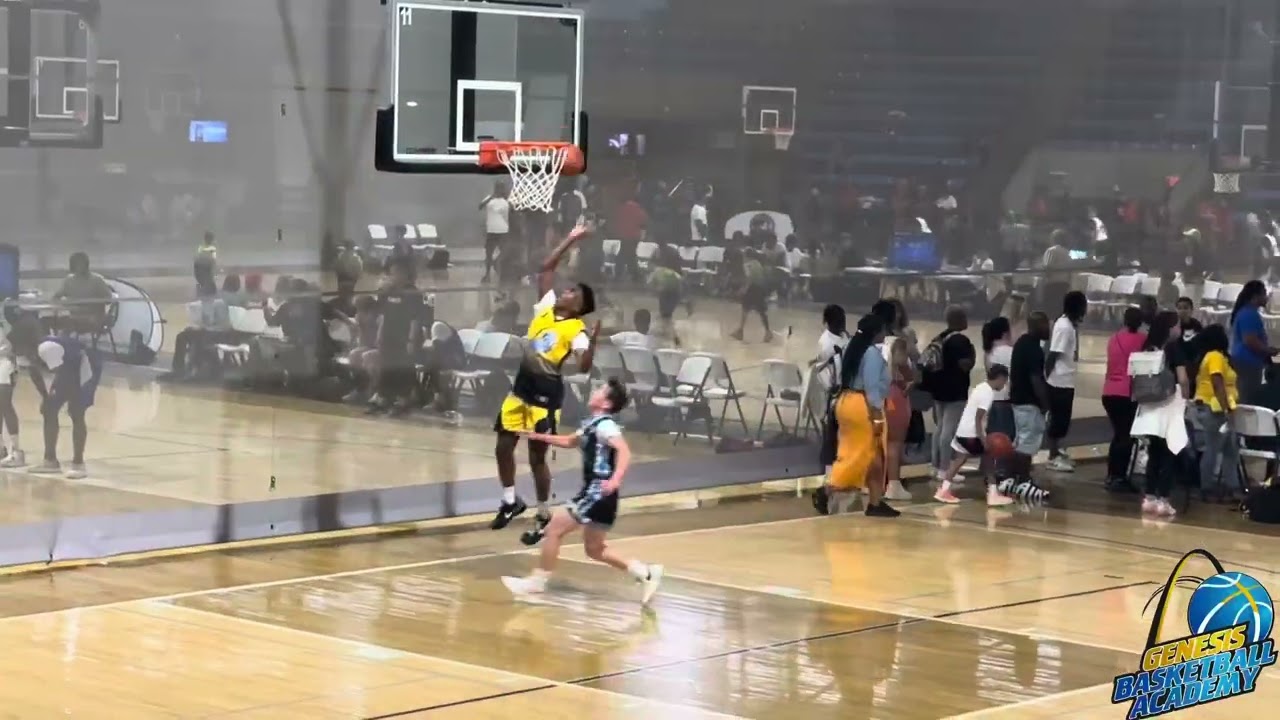 Genesis 2029 vs KS Flight