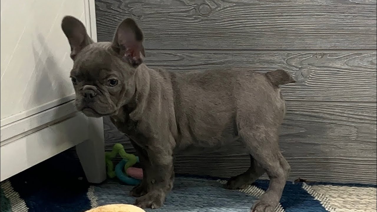 Eloise is on the go!!!