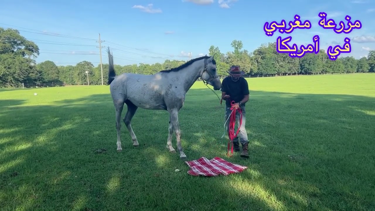 بدء الاشتغال مع جدوعا أيهم وجبل لأول مرة ساهلين تبارك الله 🇲🇦
