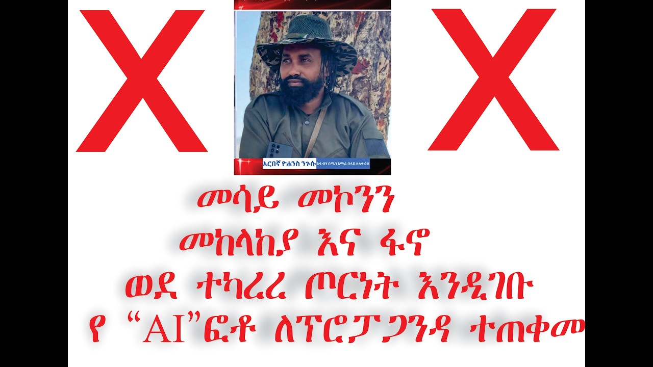 መሳይ መኮንን  መከላከያ እና ፋኖ ወደ ተካረረ ጦርነት እንዲገቡ የ