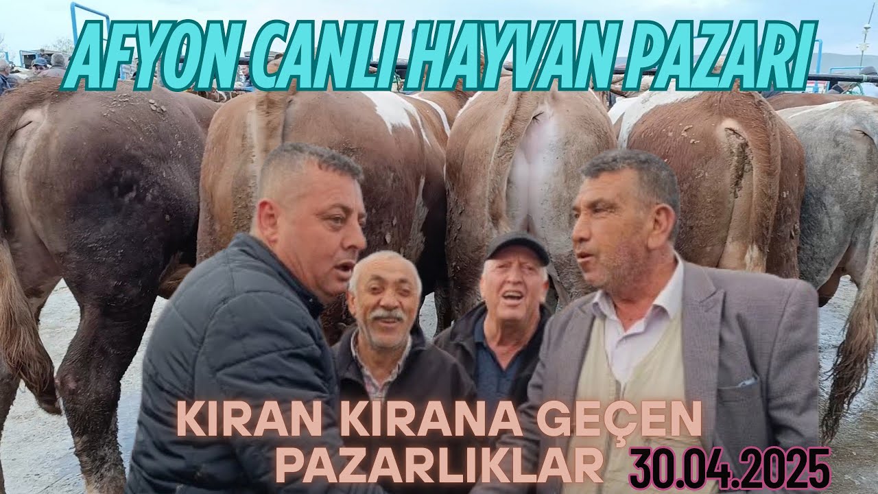 AFYON CANLI HAYVAN PAZARI 30 NİSAN BOL PAZARLIKLI KIYASIYA GEÇEN PAZARLIKLAR LİVESTOCK CATTLE MARKET