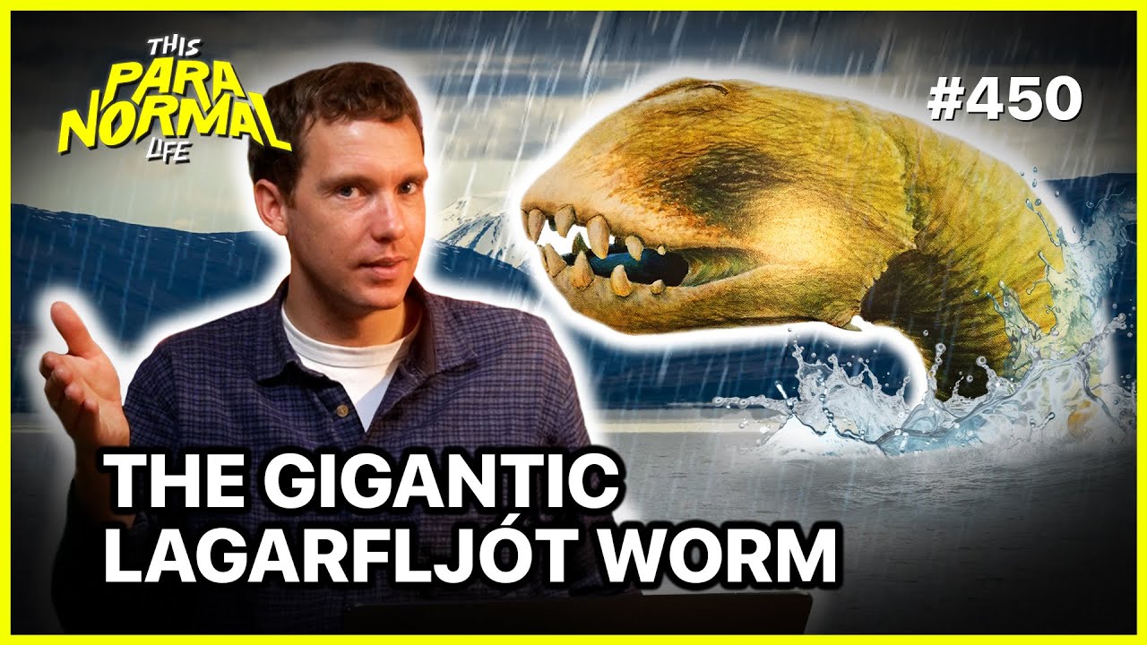 INSANE Video Evidence of Iceland&rsquo;s Sea MONSTER - The Lagarflj&oacute;t Worm