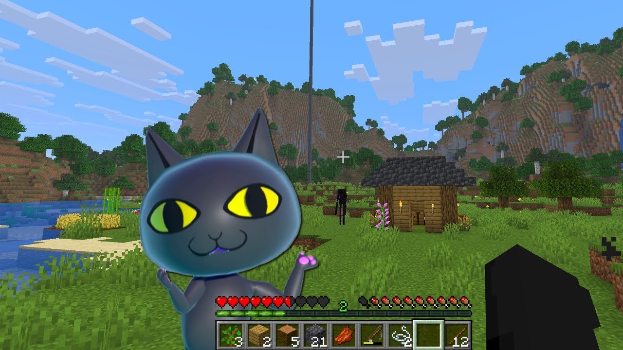 First time Minecraft!!!! 🧊⛏️(not blind though)