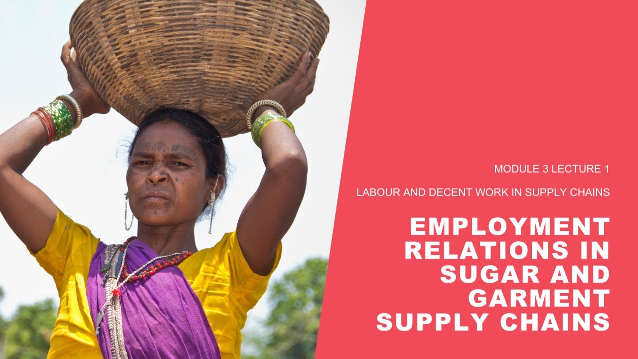 Employment Relations in the Supply Chains for Sugar and Garments