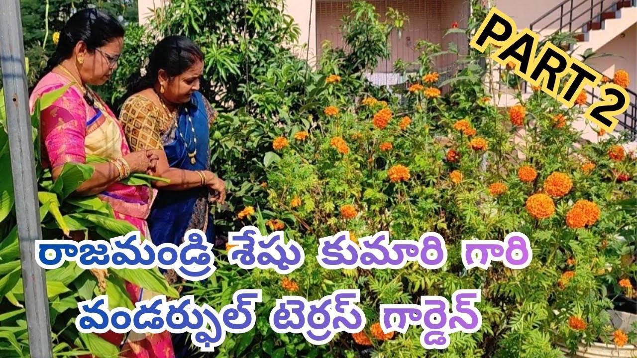 రాజమండ్రి శేషు కుమారి గారి వండర్ఫుల్ గార్డెన్, పార్ట్ 2  #@AadiLakshmiTerraceGarden #terres garden