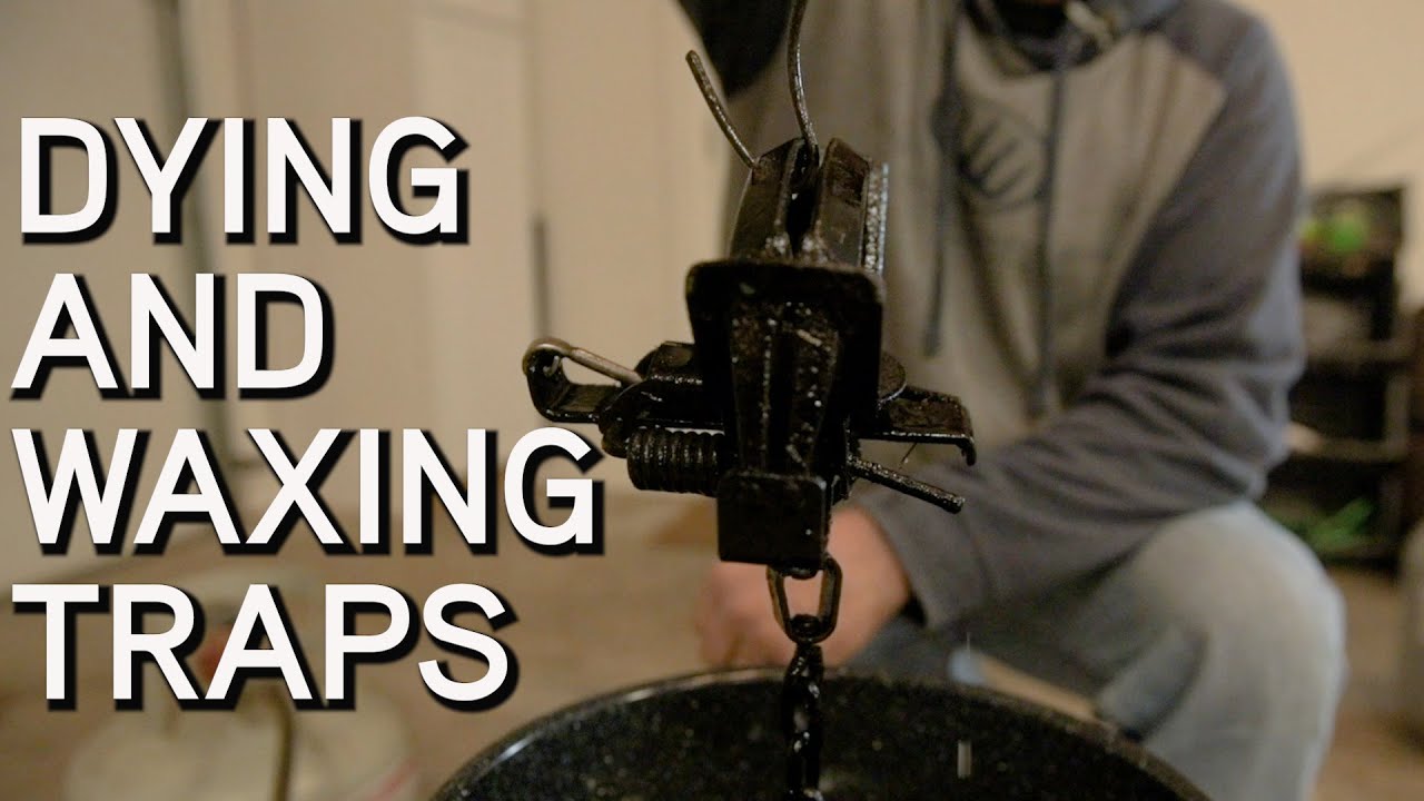 Trap Preparation | HOW TO Wax and Dye Traps